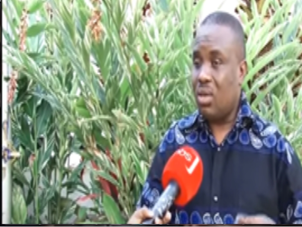 Mao's Mission Is To Wipe DP – Lukwago