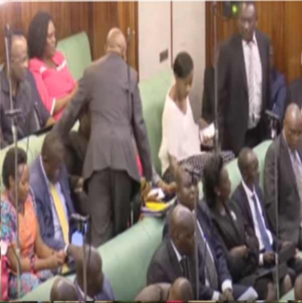 MPs To Receive 20 Million Each For consultations On The Age Limit Bill