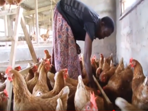 Youth Must Practice Farming - Minister Nakiwala Kiyingi
